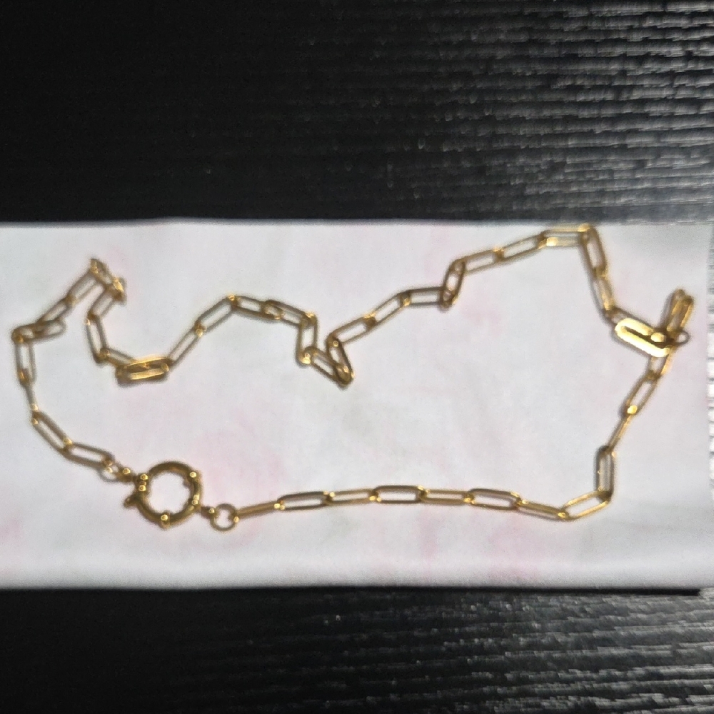 Trendy Non-Tarnishing Carabiner Pendant Necklace